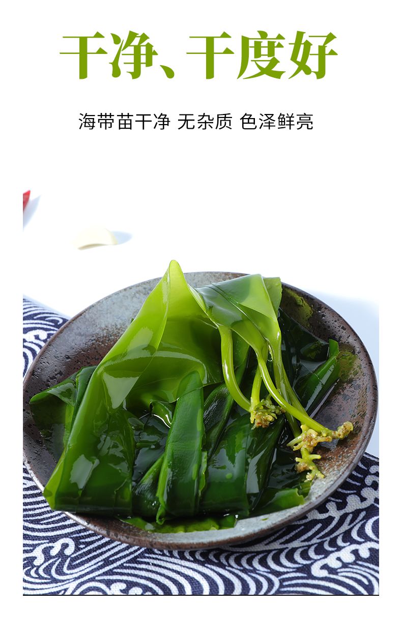 海带全株图,海带图片_大山谷图库
