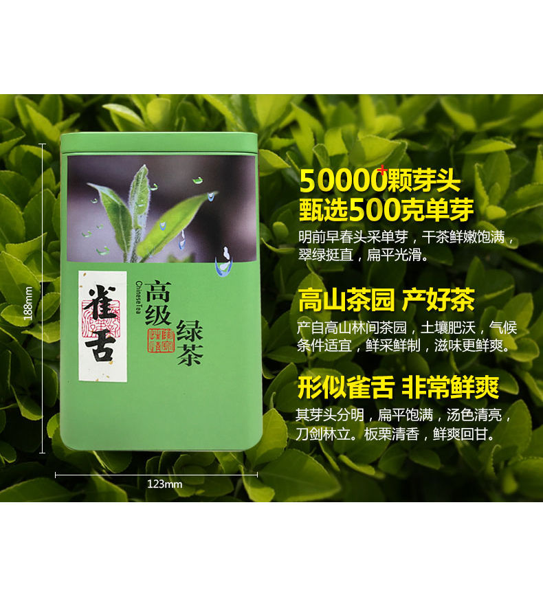 会明春【明前雀舌嫩芽尖】2023新茶250g高山绿茶叶竹叶罐装毛尖茶