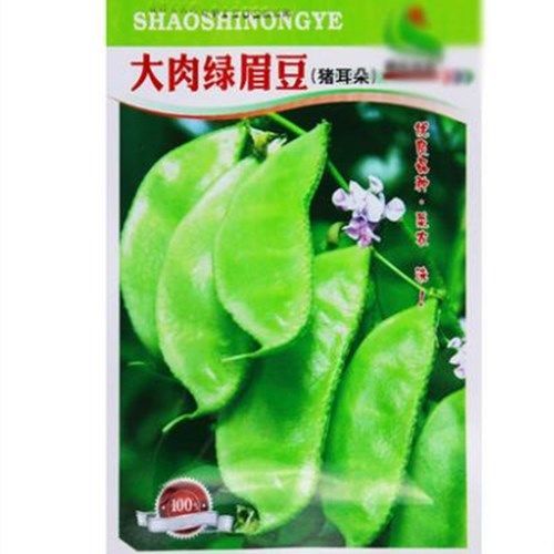 蔬菜苗无架豆种子豆角苗四季豆种籽苗秧豇豆蔬菜孑菜豆地豆不搭子 虎窝拼