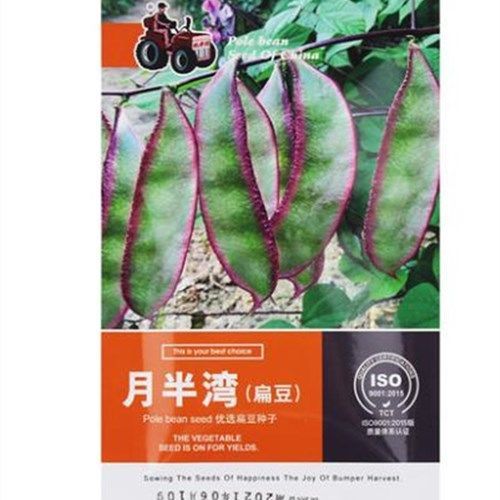 蔬菜苗无架豆种子豆角苗四季豆种籽苗秧豇豆蔬菜孑菜豆地豆不搭子 虎窝拼