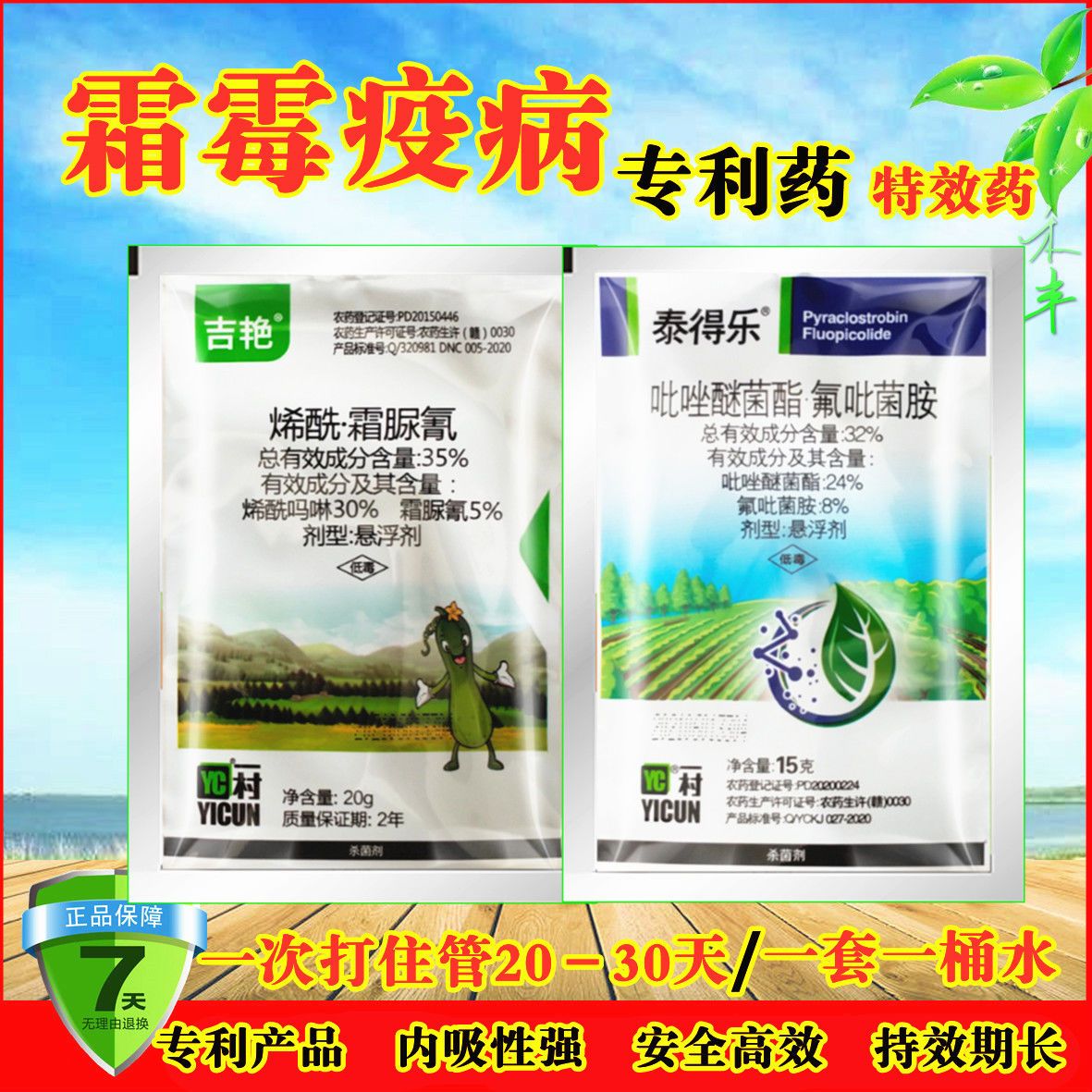 霜霉病专用药杀菌剂霜脲锰锌疫病特效药晚疫病蔬菜黄瓜疫病杀菌剂