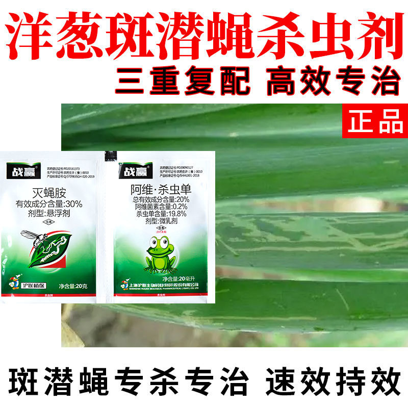 洋葱美洲斑潜蝇潜叶蝇专杀专治杀虫剂特效药农药灭蝇胺阿维杀虫单