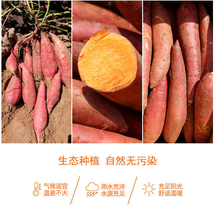 春之言 即食农家甘梅海苔地瓜干香脆薯条红薯芋头散装休闲网红小零食55g