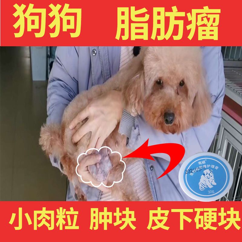 狗狗脂肪瘤【安全不怕舔】消除各种老年肥胖狗身上脂肪瘤硬块鼓包