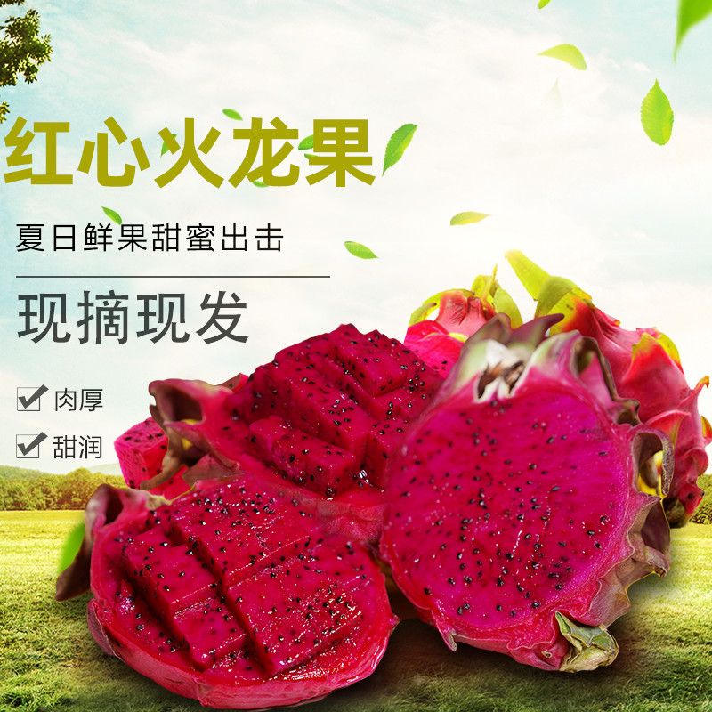 54196-特价正宗湛江金都一号红心火龙果新鲜多汁甜孕妇水果批发整箱2/5-详情图