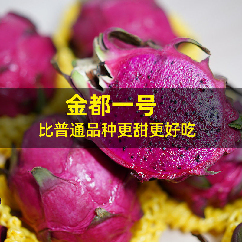 54196-特价正宗湛江金都一号红心火龙果新鲜多汁甜孕妇水果批发整箱2/5-详情图