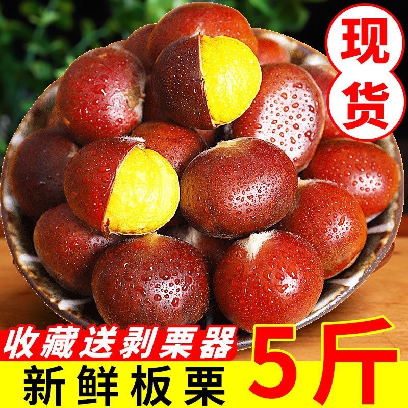 54180-【2021】新下树云南带壳油板栗生栗子嫩板栗批发野生板栗生鲜板栗-详情图