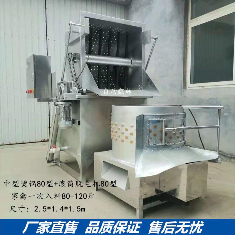 全自动家禽脱毛机  鸡鸭鹅鸽烫脱一体机 小型商用屠宰设备