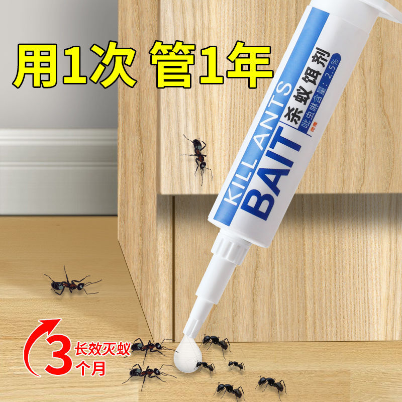 蚂蚁药家用一窝端室内厨房车用车内灭蚁饵剂红蚁黑蚁黄蚁强效通杀 咩吔值得买