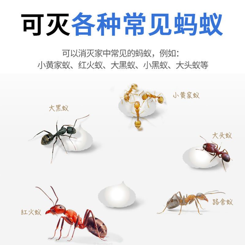蚂蚁药家用一窝端室内厨房车用车内灭蚁饵剂红蚁黑蚁黄蚁强效通杀 咩吔值得买