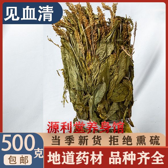 见血清 中药材见血清 野生见血清 紫星羊耳蒜 走子草正品包邮