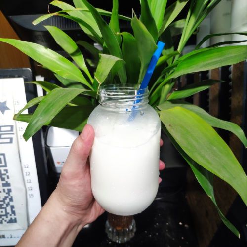 77766-泰式风味椰子粉袋装500g无蔗糖椰汁粉早餐奶茶冲饮特产速溶饮料-详情图
