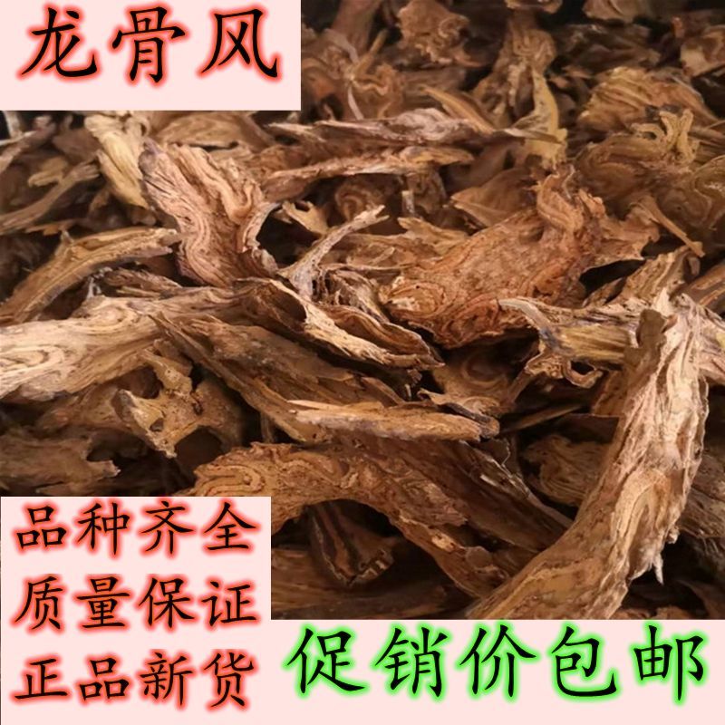 广西龙骨风250g大贯众飞天擒罗飞天蠄蟧泡酒料煲汤料中 药材特级