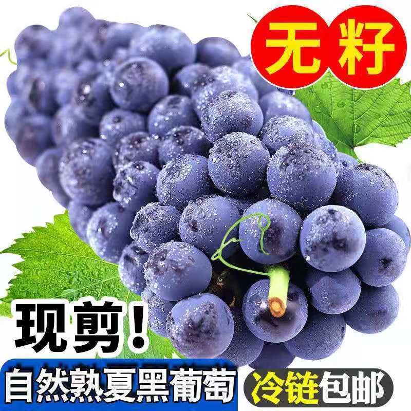54210-夏黑无籽葡萄新鲜水果当季脆甜低糖黑加仑孕妇儿童黑提子整箱批发-详情图