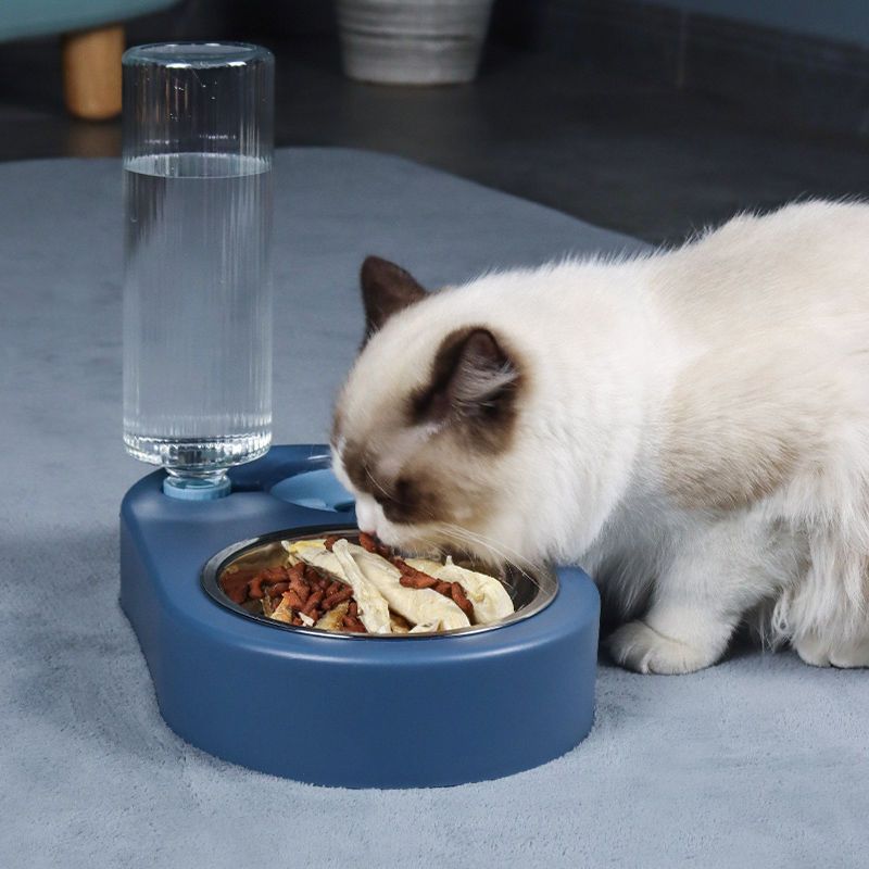 猫碗猫食盆狗碗狗盆泰迪狗狗双碗猫咪中小型犬自动饮水器宠物用品
