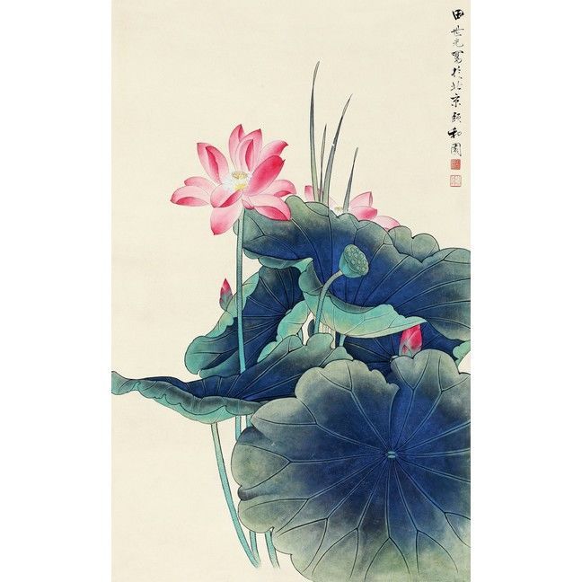 《荷花》 田世光 名人名画 国画 40*64cm 包邮