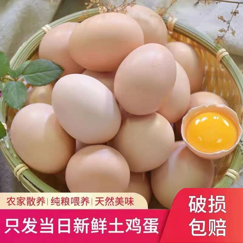 54231-农家土鸡蛋40枚正宗散养柴鸡蛋10枚现捡新鲜月子蛋笨鸡蛋批发整箱-详情图