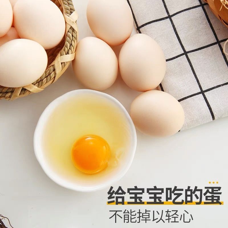 54231-农家土鸡蛋40枚正宗散养柴鸡蛋10枚现捡新鲜月子蛋笨鸡蛋批发整箱-详情图