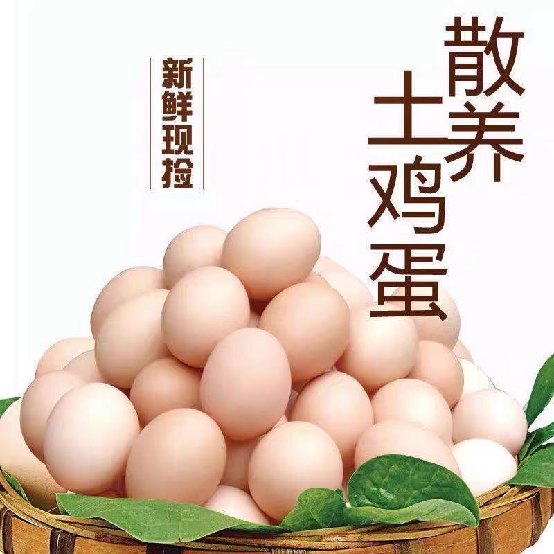 54231-农家土鸡蛋40枚正宗散养柴鸡蛋10枚现捡新鲜月子蛋笨鸡蛋批发整箱-详情图