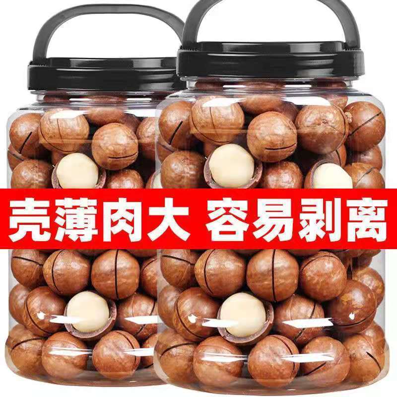 新货净重原味夏威夷果420g罐装特大颗粒22-25mm坚果休闲零食批发