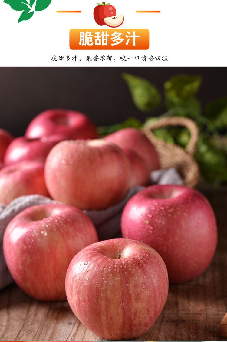 山东烟台苹果栖霞红富士脆甜整箱新鲜当季水果平果一级包邮10斤