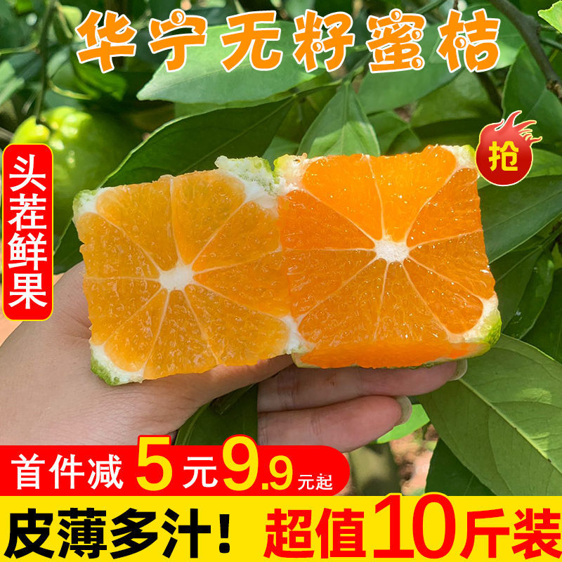54181-青皮橘子整箱桔子新鲜10斤云南特早蜜桔酸甜现摘当季孕妇水果包邮-详情图