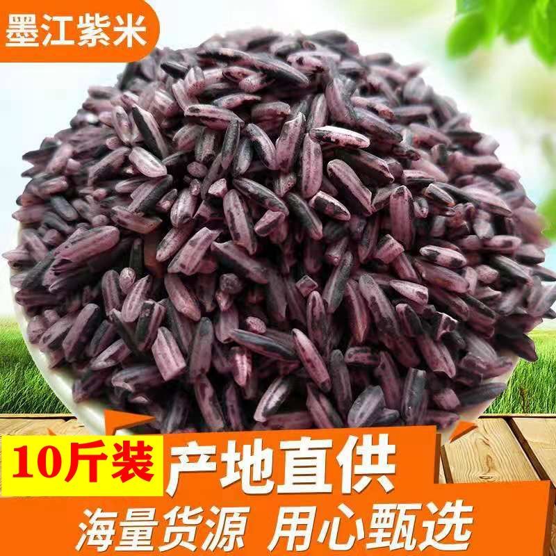 云南墨江紫米纯天然农家自种紫米紫糯米今年新紫米香米云南紫糯米