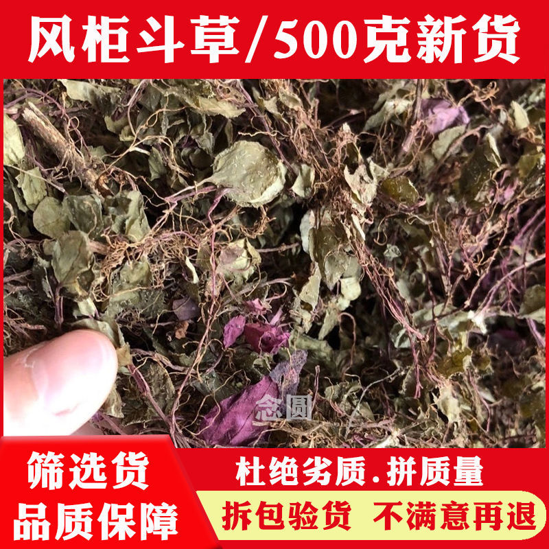 风柜斗草 中药材干风柜斗草 中草药风谷风鼓草风古风骨楮头红包邮