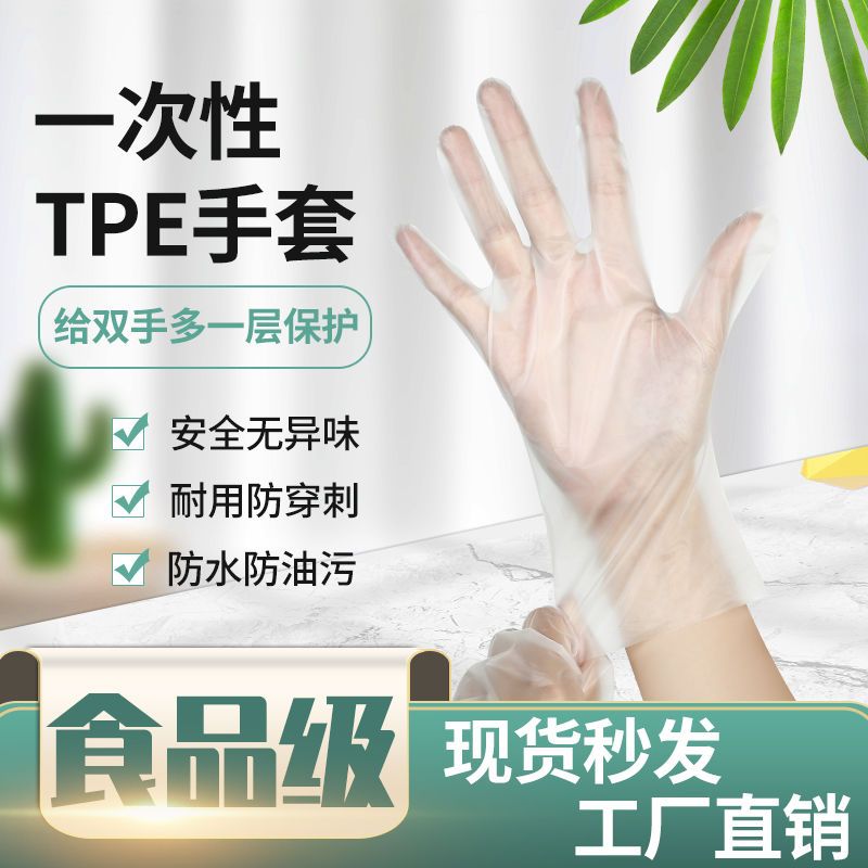 一次性手套TPE手套PVC手套商用家用防水防油防护手套