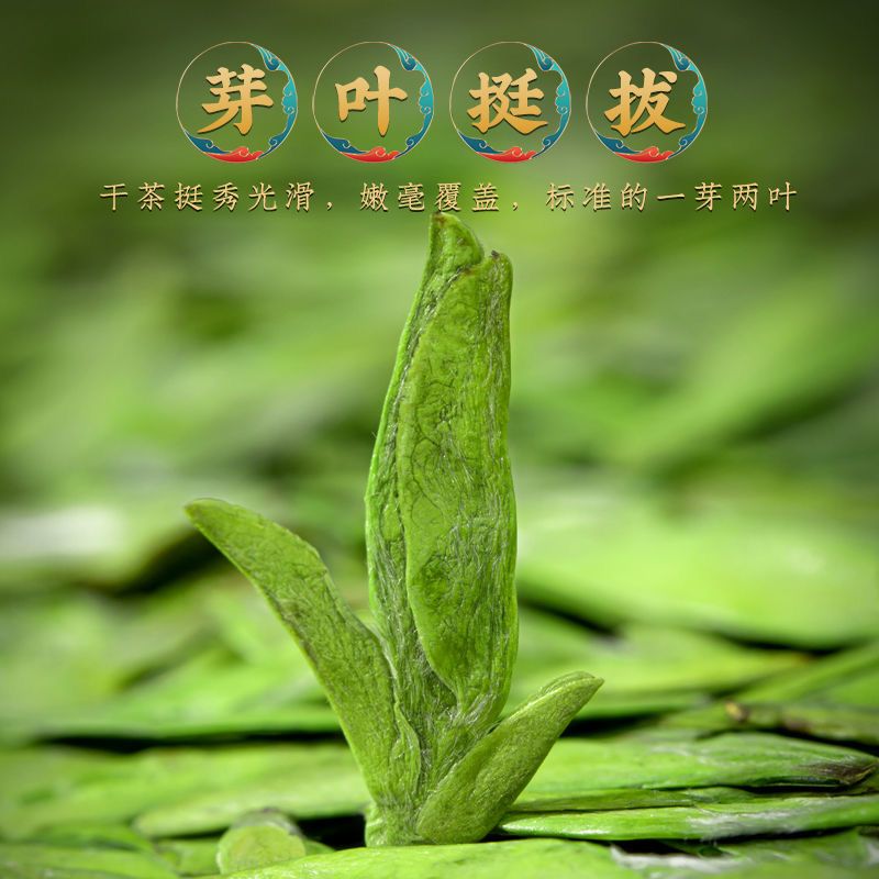75797-【特级嫩芽龙井茶】2021新茶明前头采豆香浓香型绿茶茶叶罐装125g-详情图