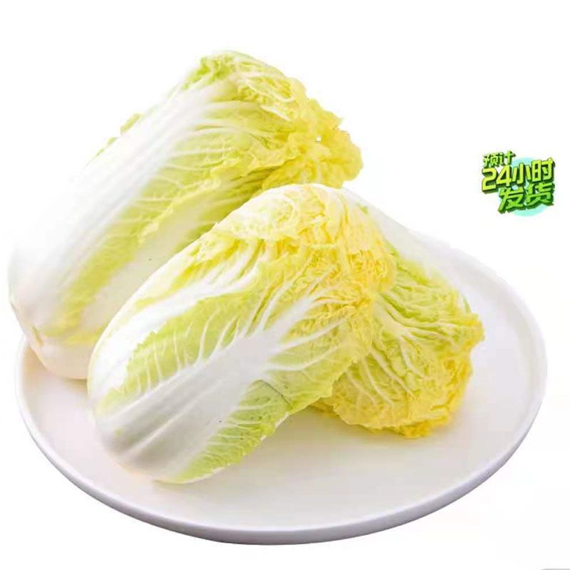 88765-新鲜蔬菜娃娃菜农家自种现砍现发黄心娃娃菜白菜四季大白菜特嫩脆-详情图