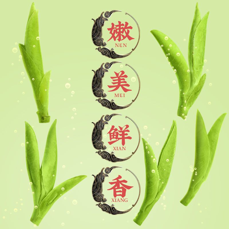 75797-【特级嫩芽龙井茶】2021新茶明前头采豆香浓香型绿茶茶叶罐装125g-详情图