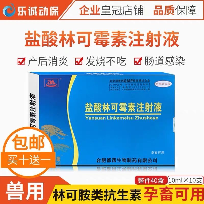 兽药盐酸林可霉素注射液兽用猪牛羊犬猫宠物狗狗抗菌消炎咳嗽针剂