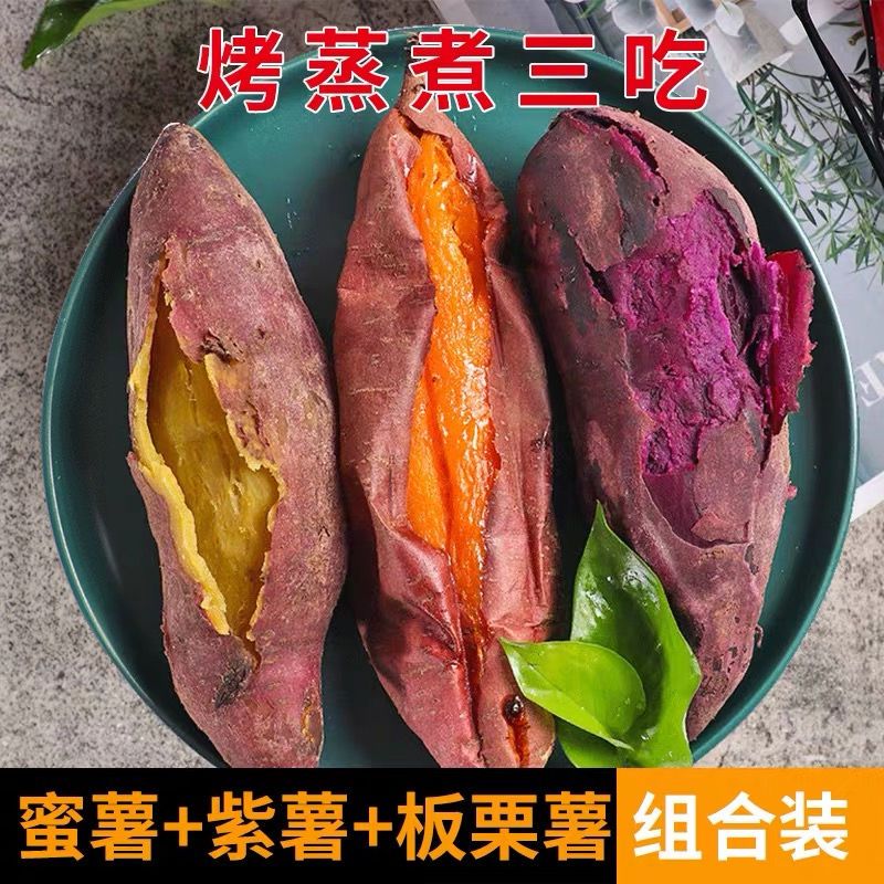 澳农卡3/5斤【红薯组合】新鲜番薯地瓜板栗紫薯烟薯25号糖心蜜薯 图片 3