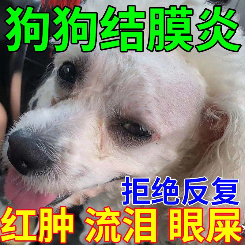 狗狗眼药水【不重犯】狗狗结膜炎红肿瘙痒流脓流眼泪