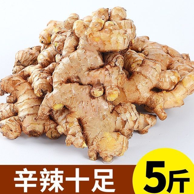 75858-生姜精选云南小黄姜老姜新鲜现挖生姜新姜月子姜老姜新鲜蔬菜嫩姜-详情图