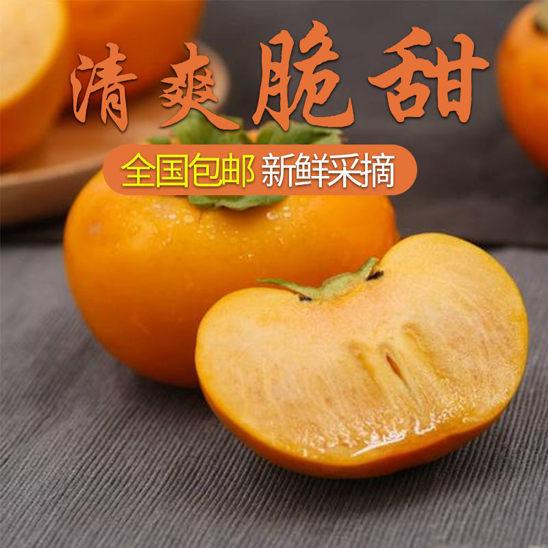 88822-【爆甜】冰糖心脆柿子现摘新鲜水果生吃柿子包邮巧克力甜柿子整箱-详情图