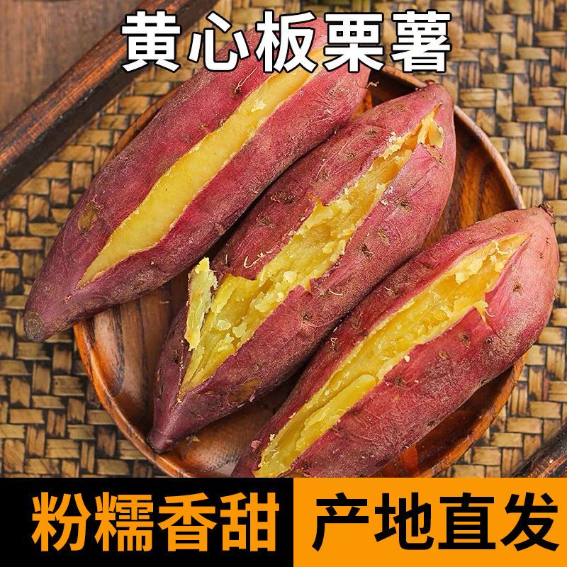 澳农卡3/5斤黄心板栗薯新鲜糖心小香地瓜沙地批发价农家红薯番薯 图片 6