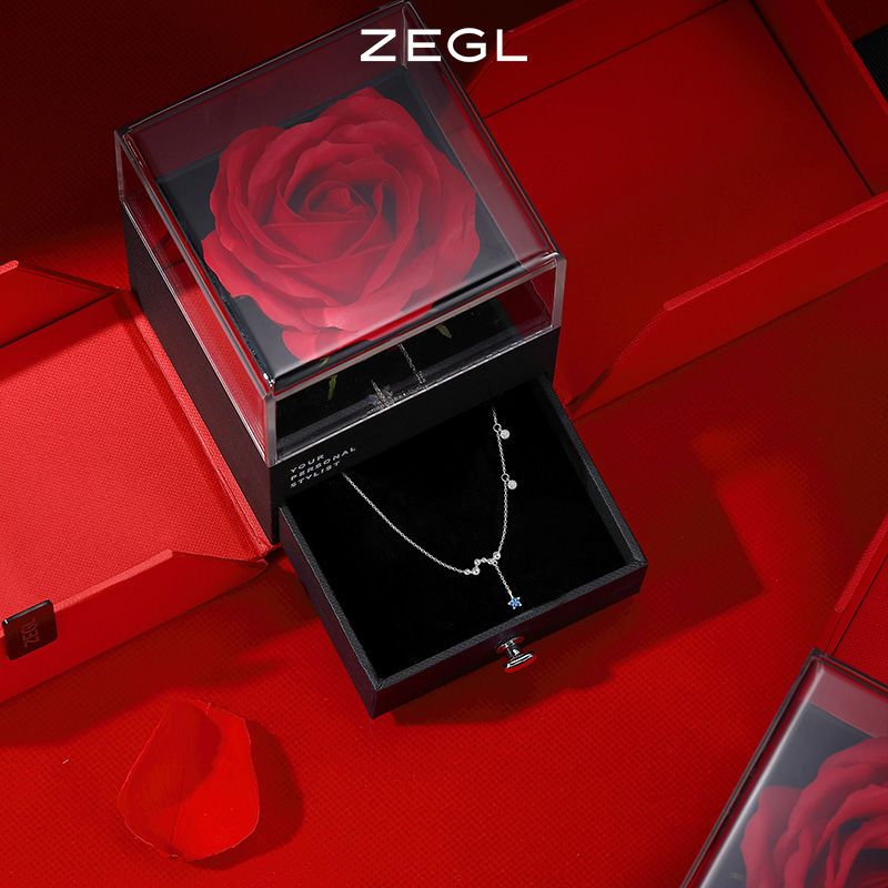75837-ZEGL925银星星项链女气质锁骨链简约网红颈链脖子饰品生日礼物-详情图
