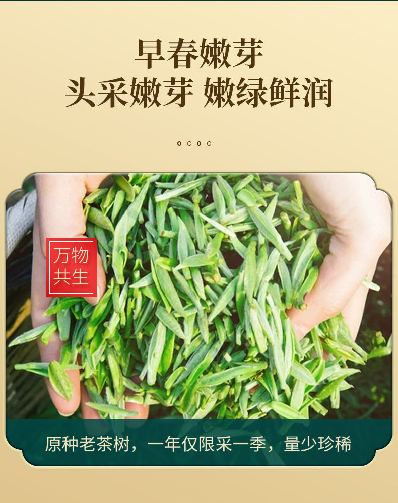 雀舌茶叶绿茶新茶湄潭翠芽特级嫩芽浓香型