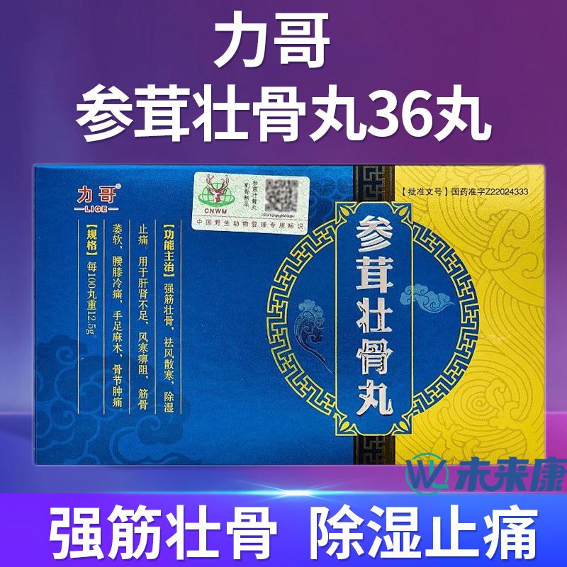 力哥 参茸壮骨丸 36丸/盒 用于肝肾不足手足麻木骨节肿痛筋骨萎软强筋