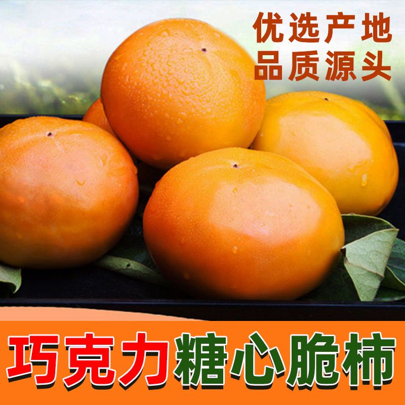88822-【爆甜】冰糖心脆柿子现摘新鲜水果生吃柿子包邮巧克力甜柿子整箱-详情图