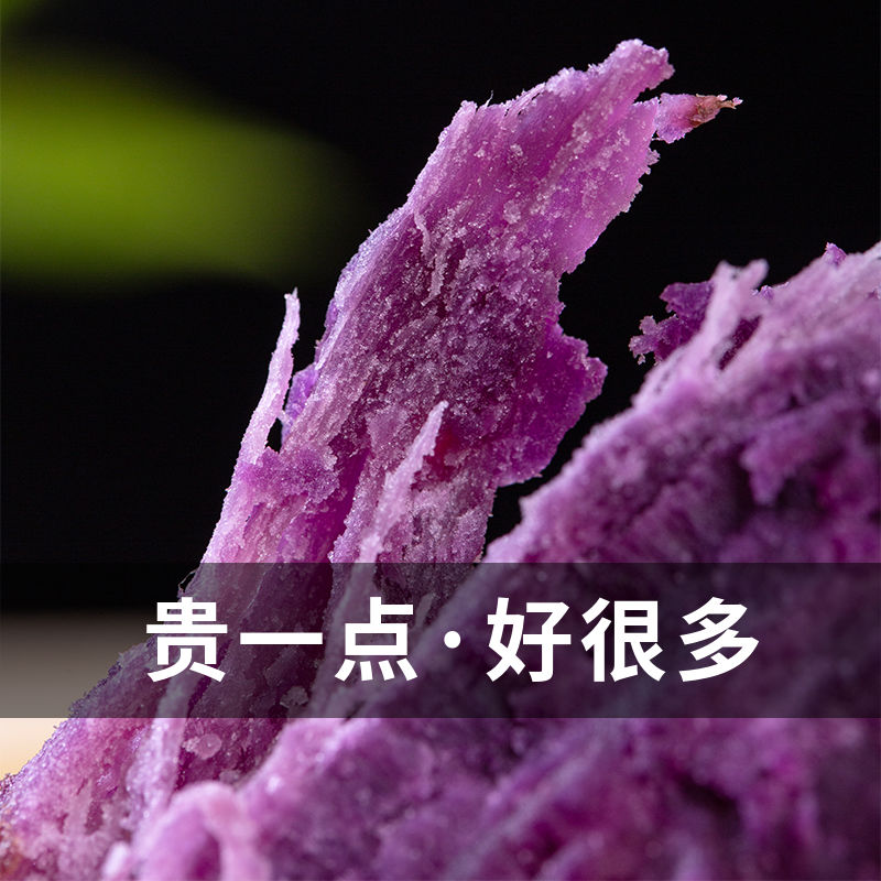 105926-云南山地紫薯小果紫心红薯地瓜板栗山芋紫红薯粉糯香甜番薯蜜薯-详情图