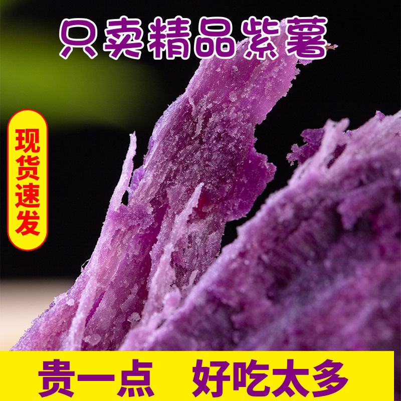 105926-云南山地紫薯小果紫心红薯地瓜板栗山芋紫红薯粉糯香甜番薯蜜薯-详情图