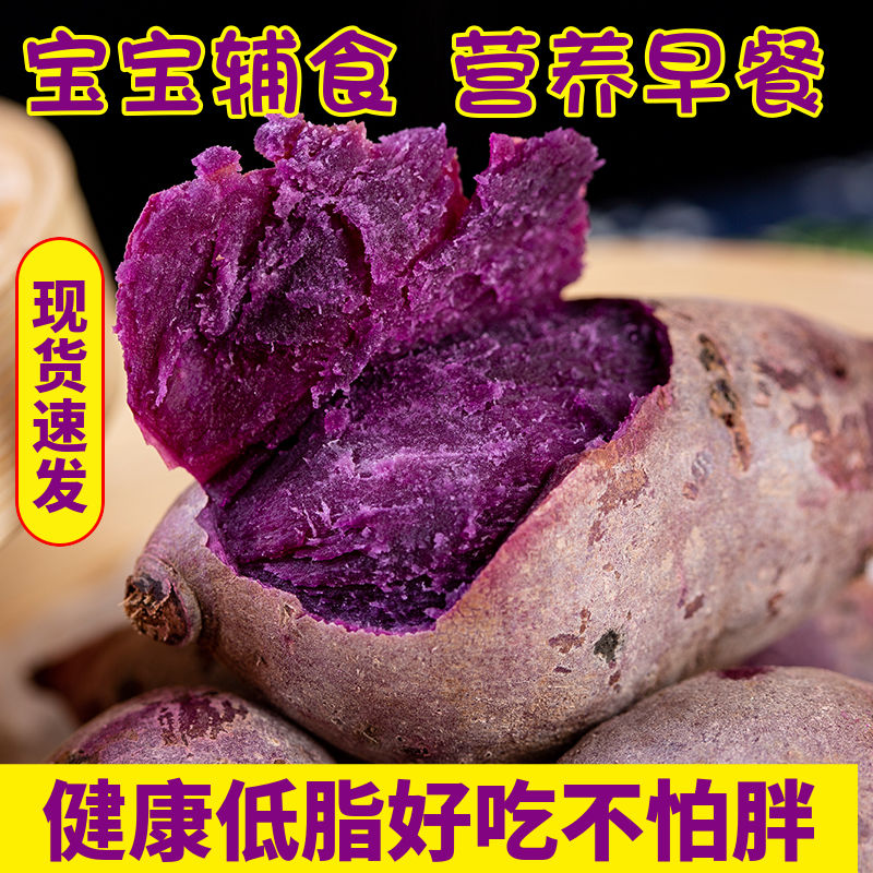 105926-云南山地紫薯小果紫心红薯地瓜板栗山芋紫红薯粉糯香甜番薯蜜薯-详情图