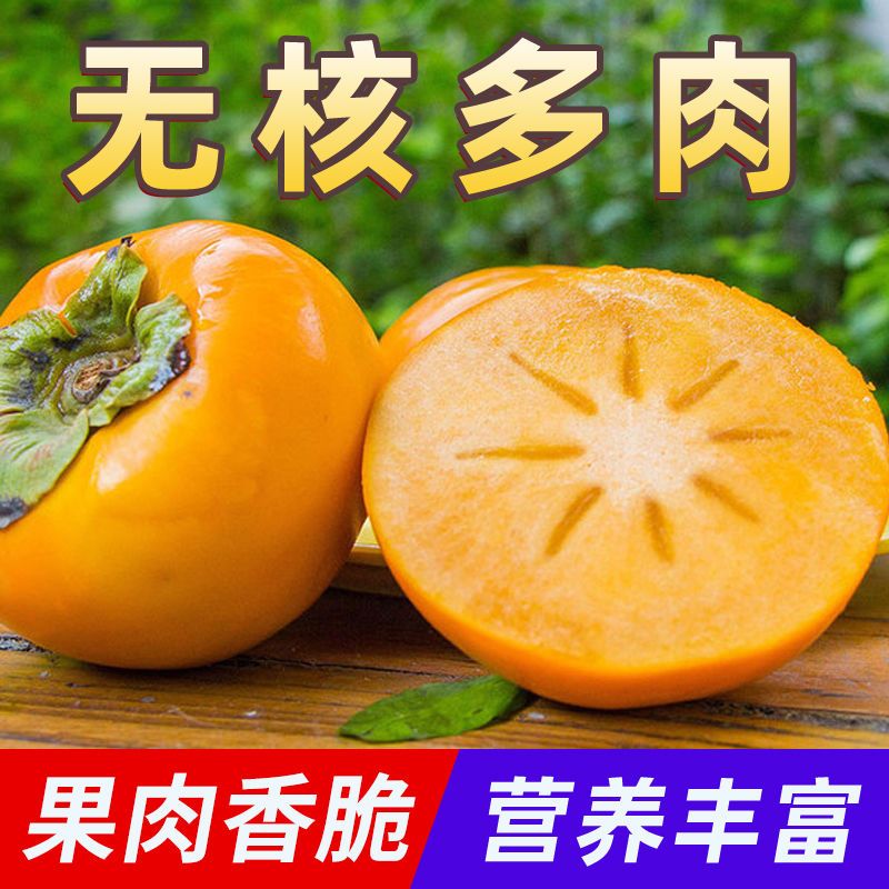 88822-【爆甜】冰糖心脆柿子现摘新鲜水果生吃柿子包邮巧克力甜柿子整箱-详情图