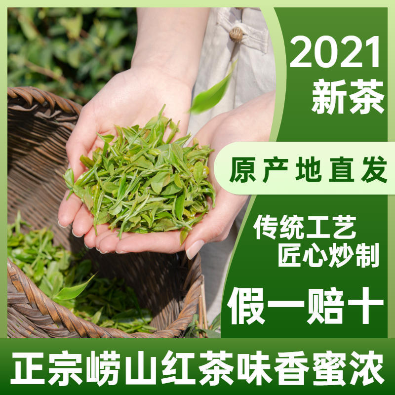 75669-2021新茶青岛崂山红茶茶叶蜜香耐泡正宗散装日照充足养胃批发-详情图