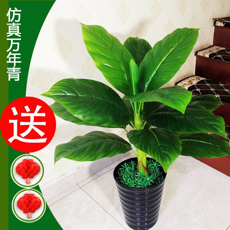 假盆栽假树仿真树落地室内盆栽大型客厅盆景装饰花仿真绿植万年青 虎窝拼