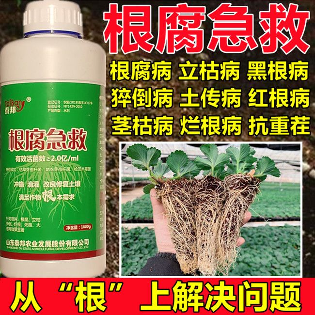 根腐急救根腐病特效药枯草芽孢杆菌哈茨木霉菌立枯病生根壮苗专用
