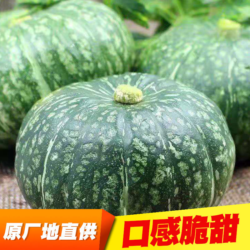 75718-贝贝南瓜新鲜甜糯正宗超甜好吃天然现摘个头饱满批发板栗奶油南瓜-详情图